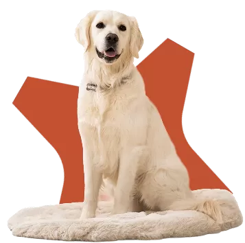 George
